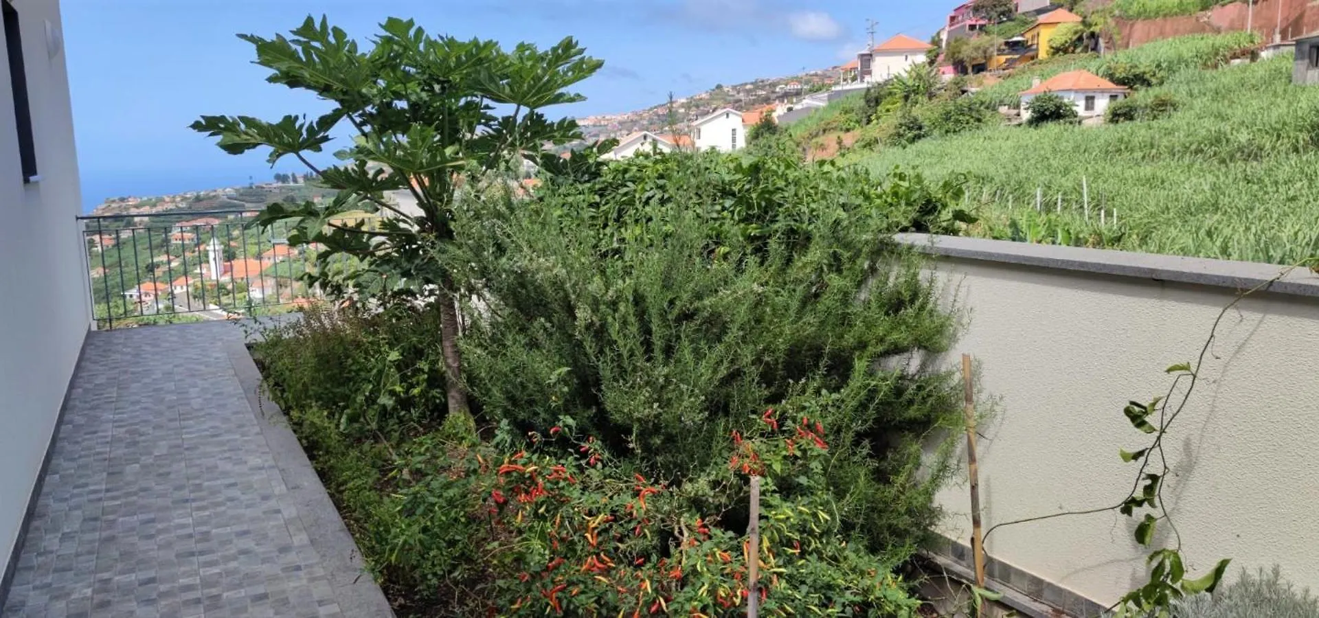 Casa Panorama Sol Villa Ponta do Sol  Holiday home Ponta do Sol (Madeira)